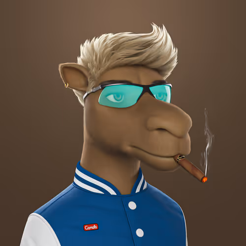 3dcamels