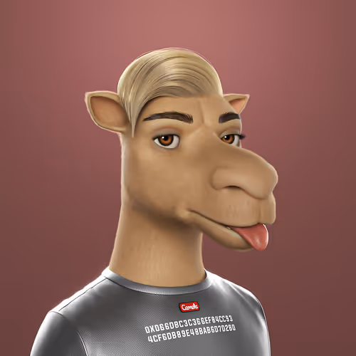3dcamels