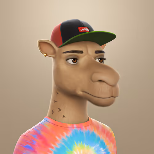 3dcamels