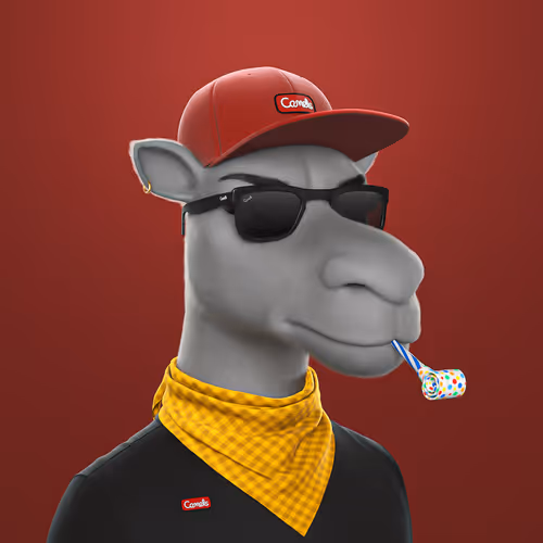 3dcamels