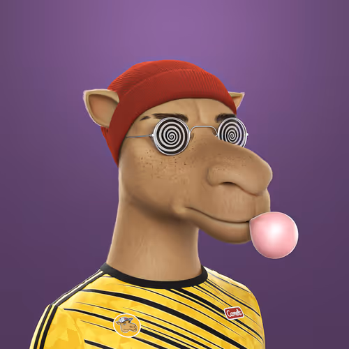 3dcamels