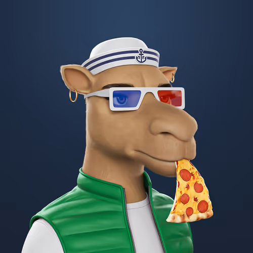 3dcamels