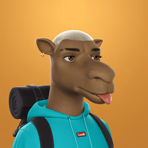 3dcamels