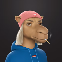 Camel 3D #2892