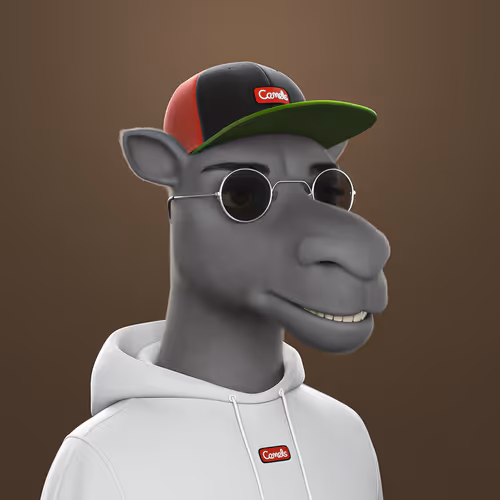 3dcamels
