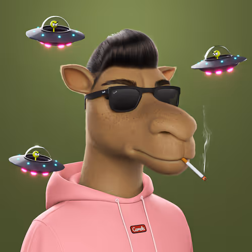 3dcamels