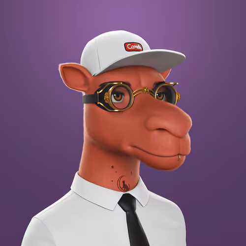 3dcamels