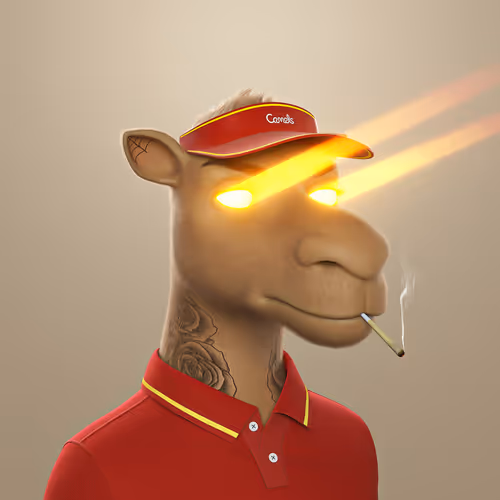3dcamels