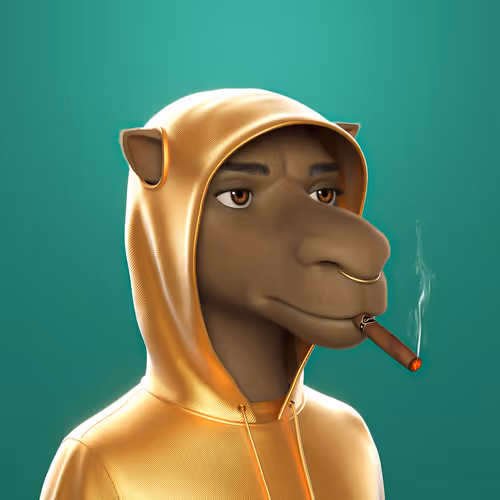 3dcamels