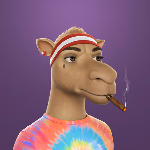 3dcamels