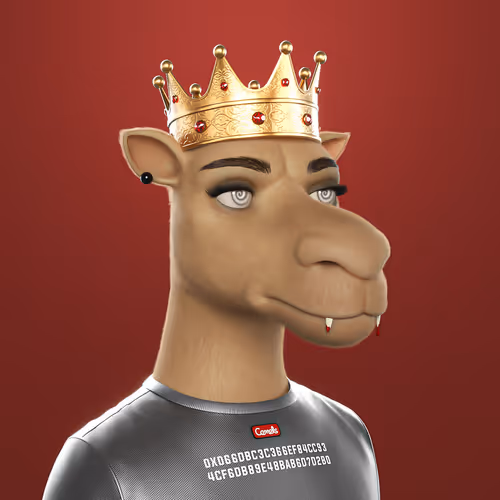 3dcamels