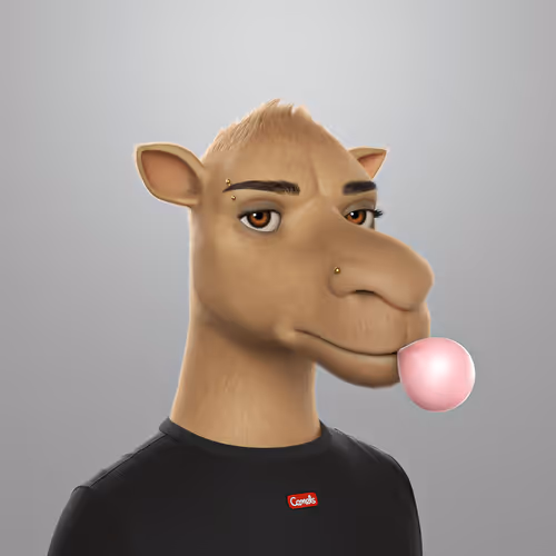 3dcamels