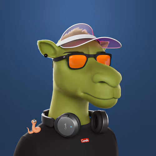 3dcamels