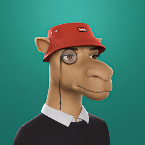 3dcamels