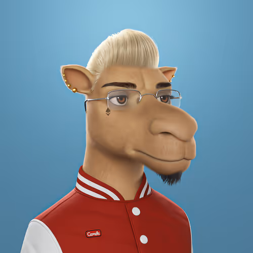 3dcamels