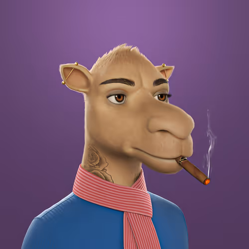 3dcamels