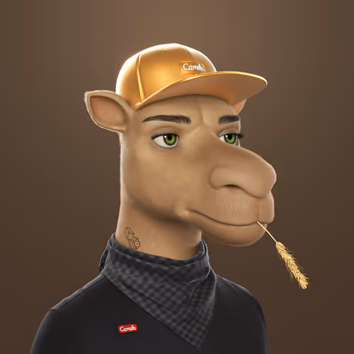 3dcamels