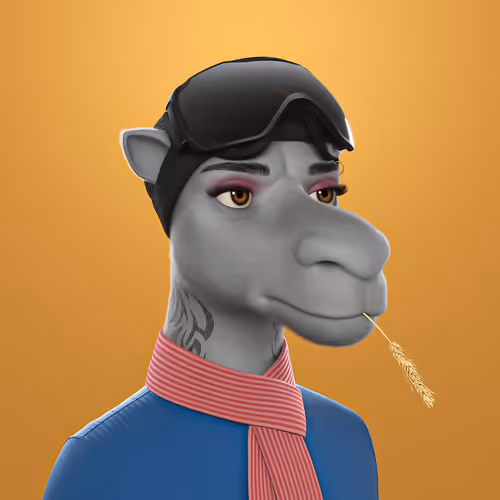 3dcamels