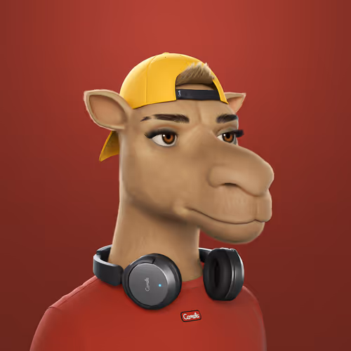 3dcamels