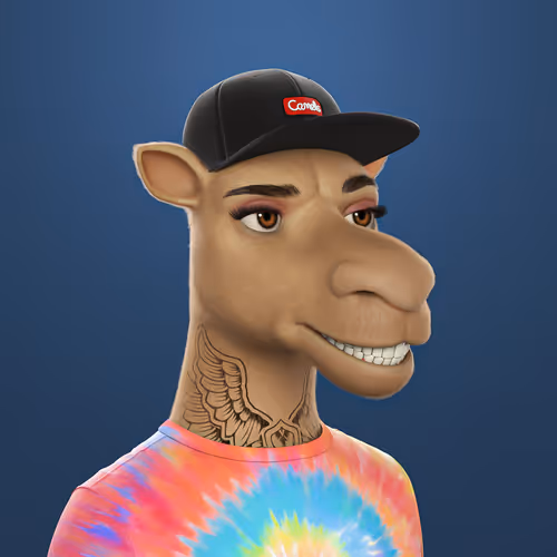 3dcamels