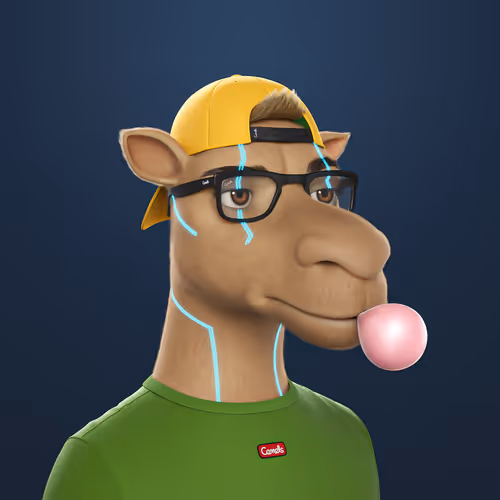 3dcamels