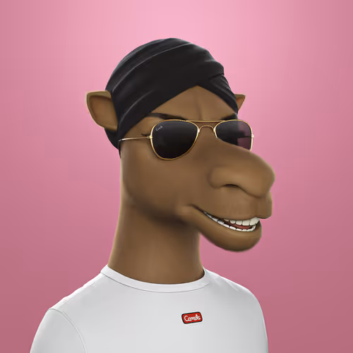 3dcamels