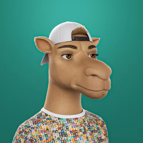 3dcamels