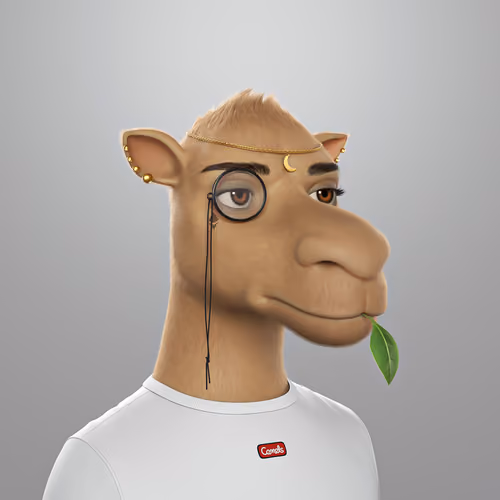Camel 3D #841