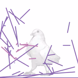 P01.045