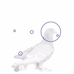 P01.145