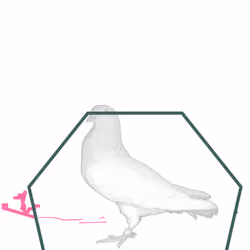 P01.070