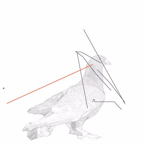P01.020
