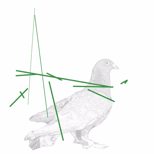 Pigeonart By Aaron Blaisdell