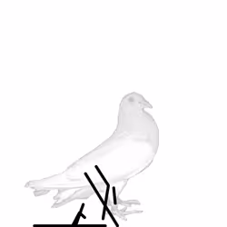 P01.215