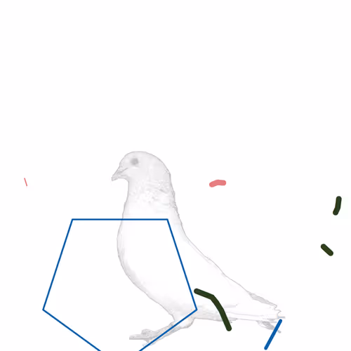 P01.091