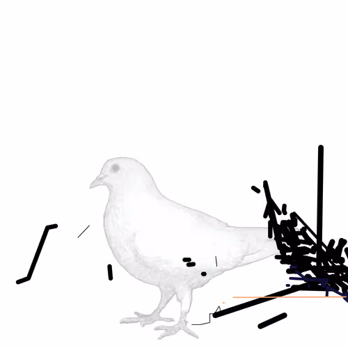P01.080