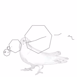 P01.171