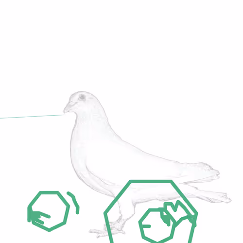 P01.295