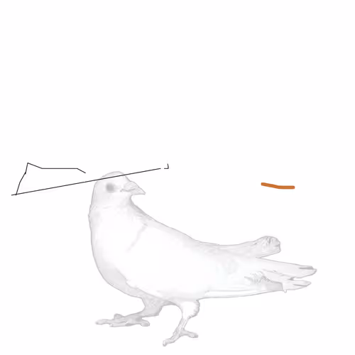 Pigeonart By Aaron Blaisdell
