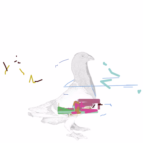 P01.164