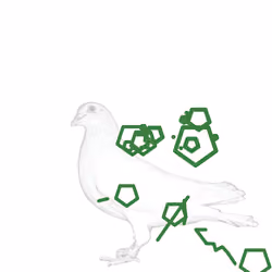 P01.260
