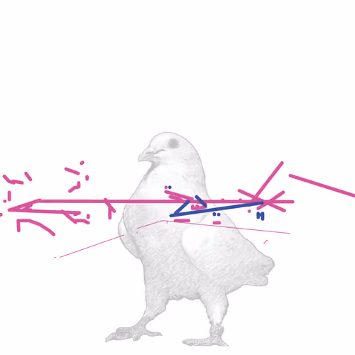 P01.184