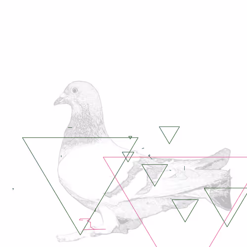 P01.002