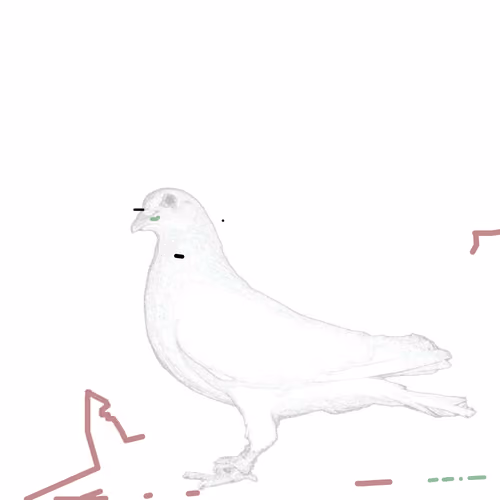 P01.150