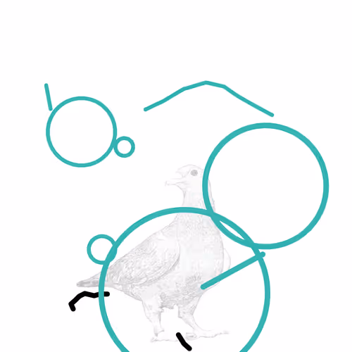P01.038