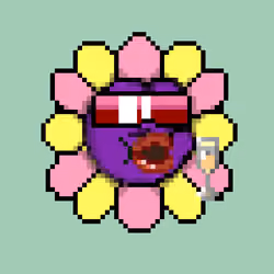PepeXFlower#1345