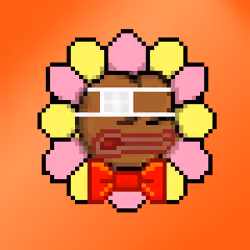 PepeXFlower#1692