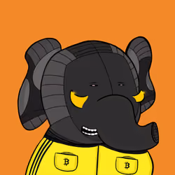 Epic Elephants Squad #3788
