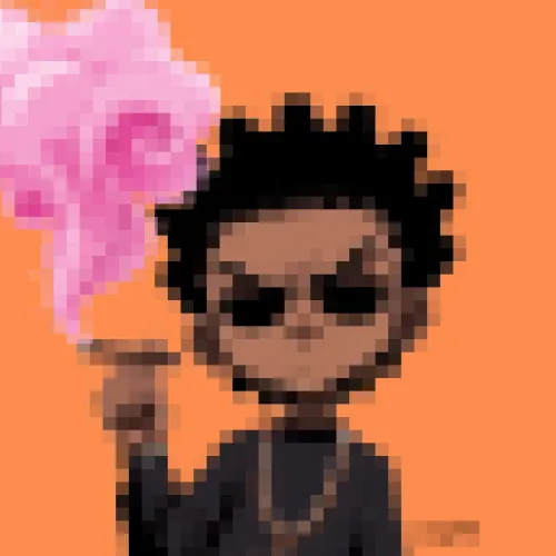 RADICAL FACE PIXEL