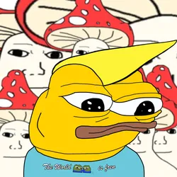 7711